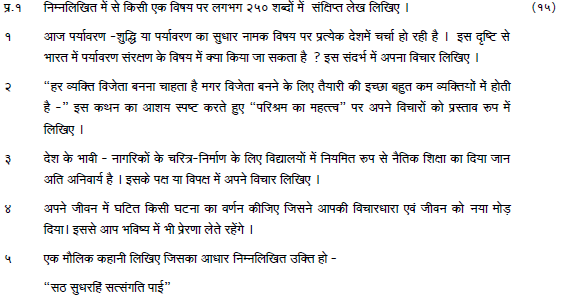 sample paper icse class 10 hindi set d