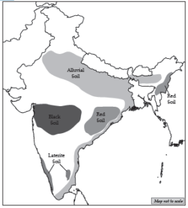 Location Extent And Physical Features Icse Class 10 Geography Notes