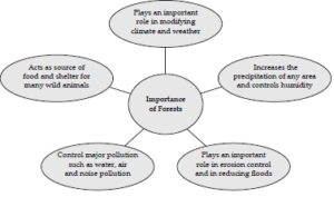 Natural Vegetation ICSE Class 10 Geography Notes Download PDF