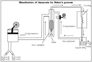 Ammonia ICSE Class 10 Chemistry Important Questions