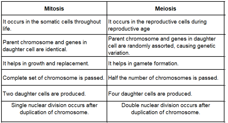 Notes Cell Cycle and Cell Division ICSE Class 10 Biology