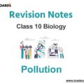 Pollution ICSE Class 10 Biology