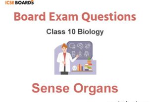 Sense Organs ICSE Class 10 Biology