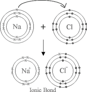 Selina ICSE Class 10 Chemistry Solutions Chapter 2 Chemical Bonding