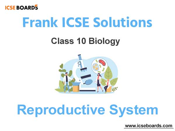 Frank ICSE Class 10 Biology Solutions Chapter 11 Reproductive System