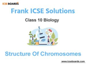 Frank ICSE Class 10 Biology Solutions Chapter 2 Structure Of Chromosomes