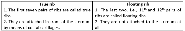 Selina ICSE Class 9 Biology Solutions Chapter 13 Skin the Jack Of All Trades